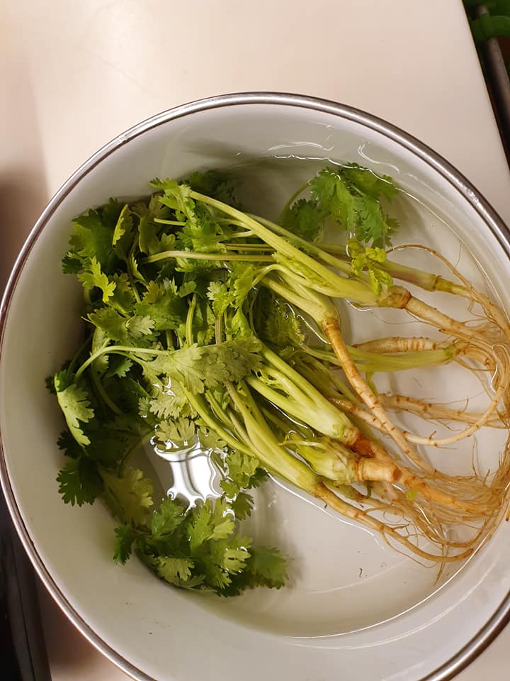 Coriander leaves