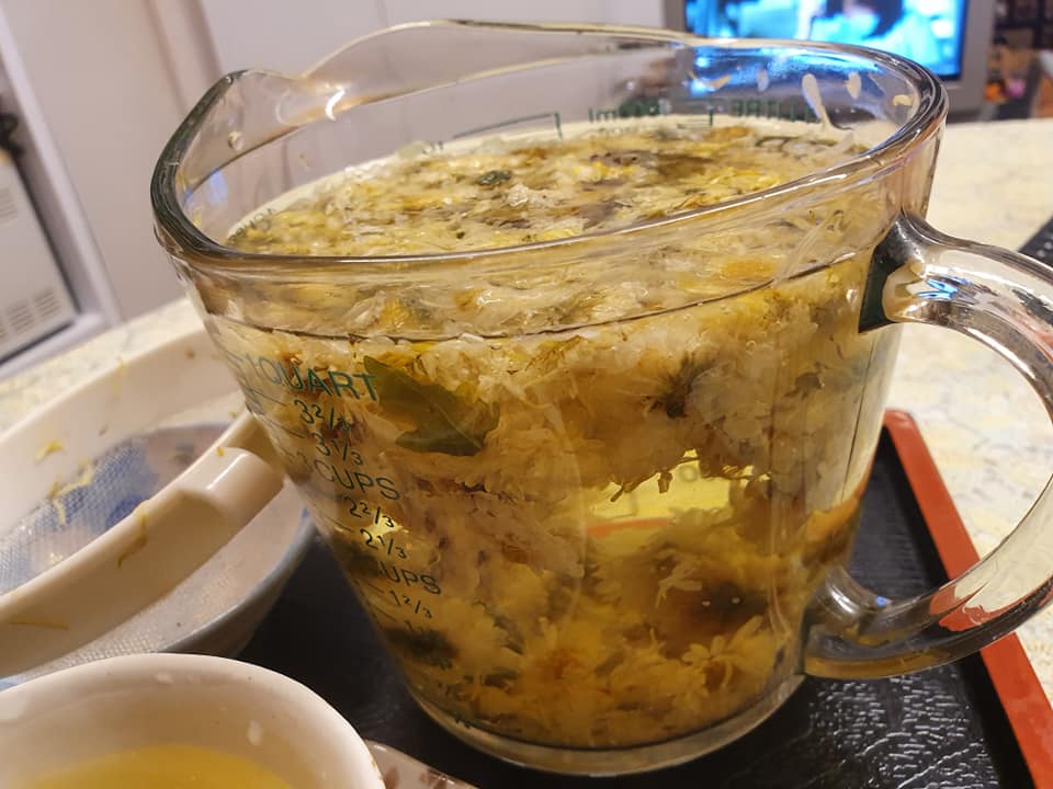 Chrysanthemum Tea