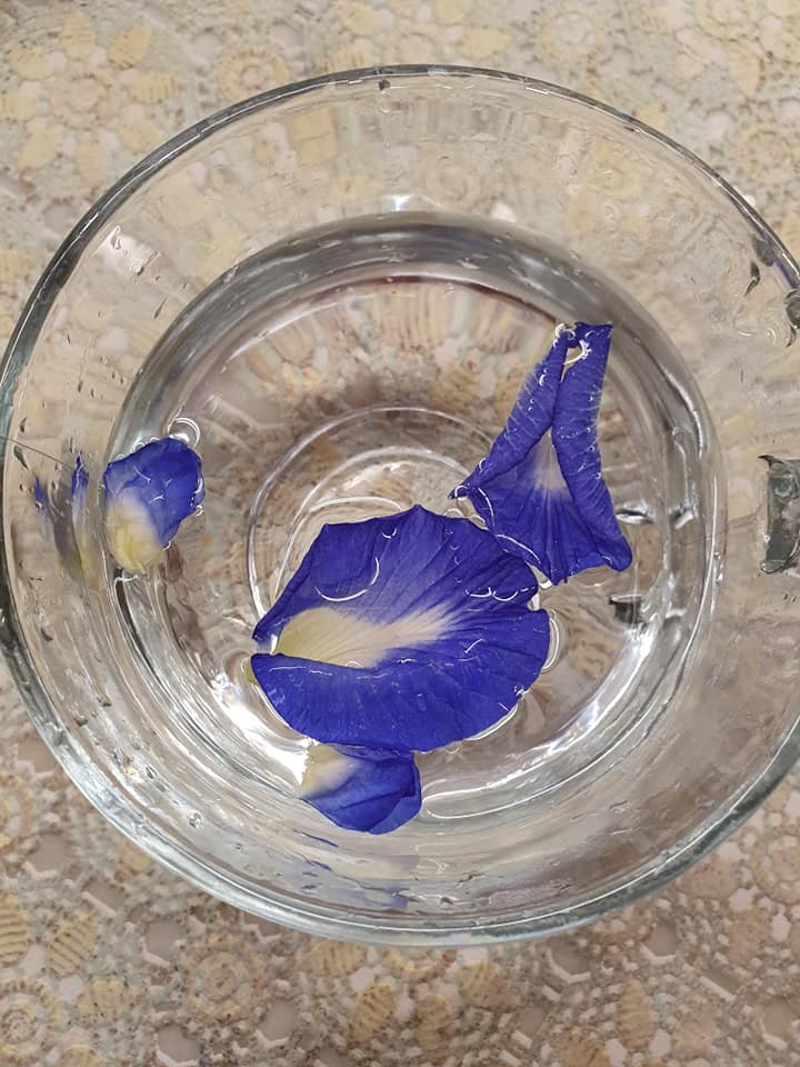 Blue Pea Flower Drink