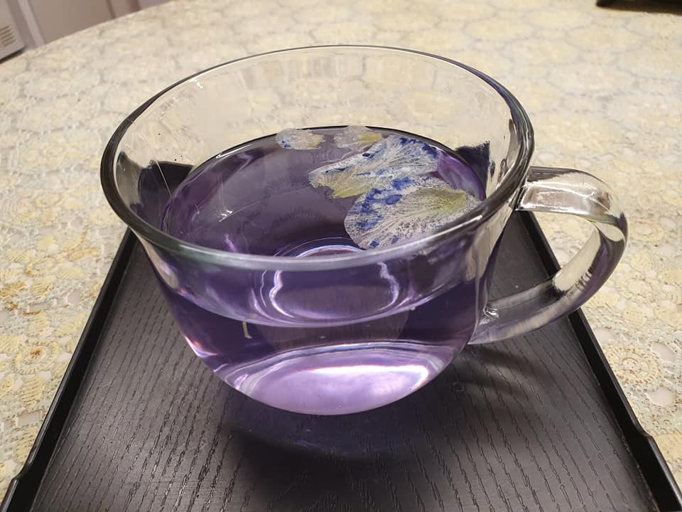 Blue Pea Flower Drink