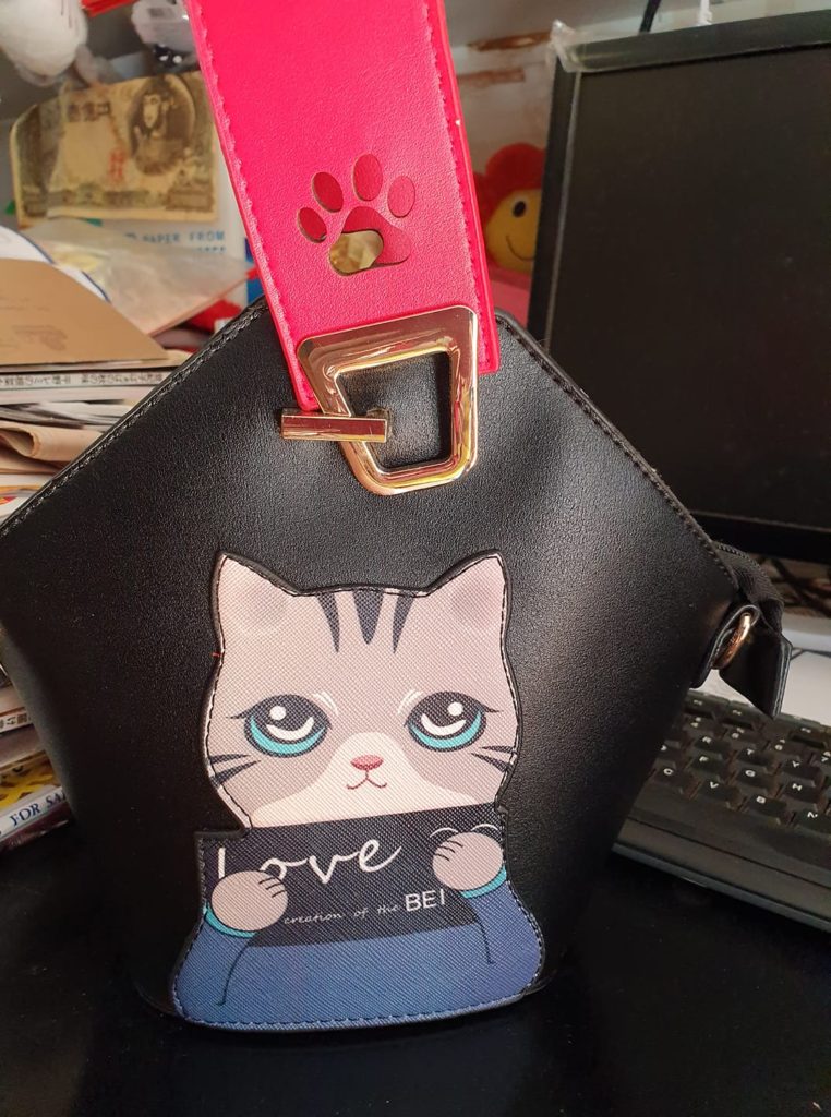 My cute cat bag