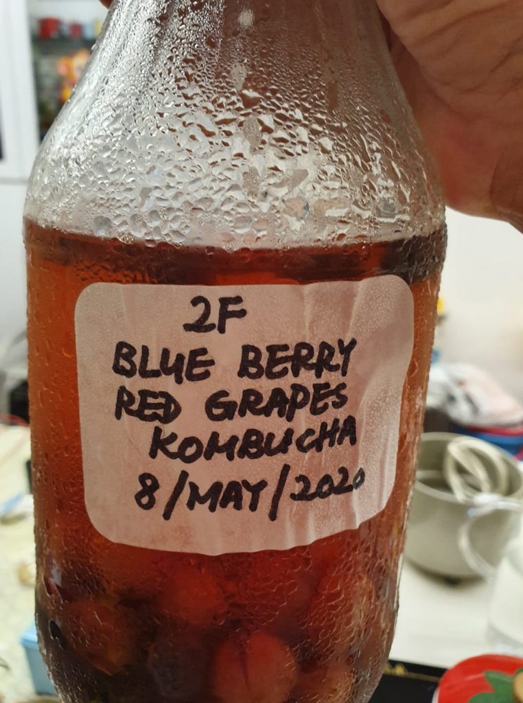 Blue Berry Red Grapes Kombucha