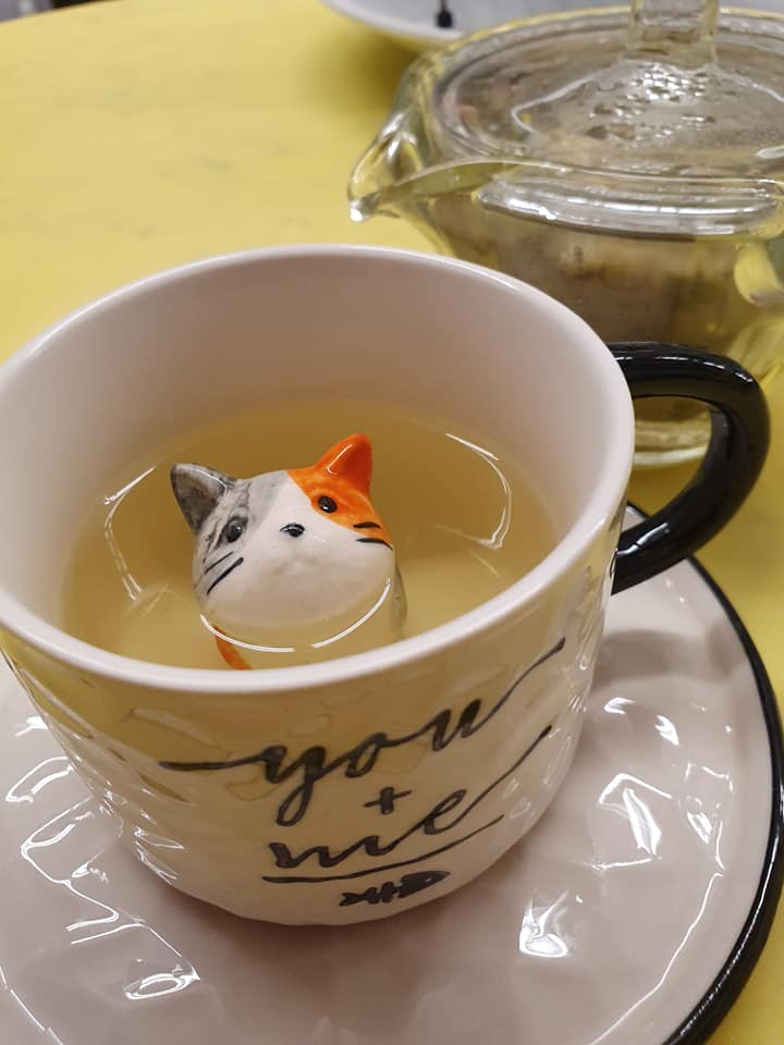 Chrysanthemum Tea without Sugar served in my CAT TEA CUP