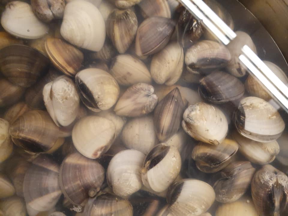 Soaking Fresh Clams in salted water