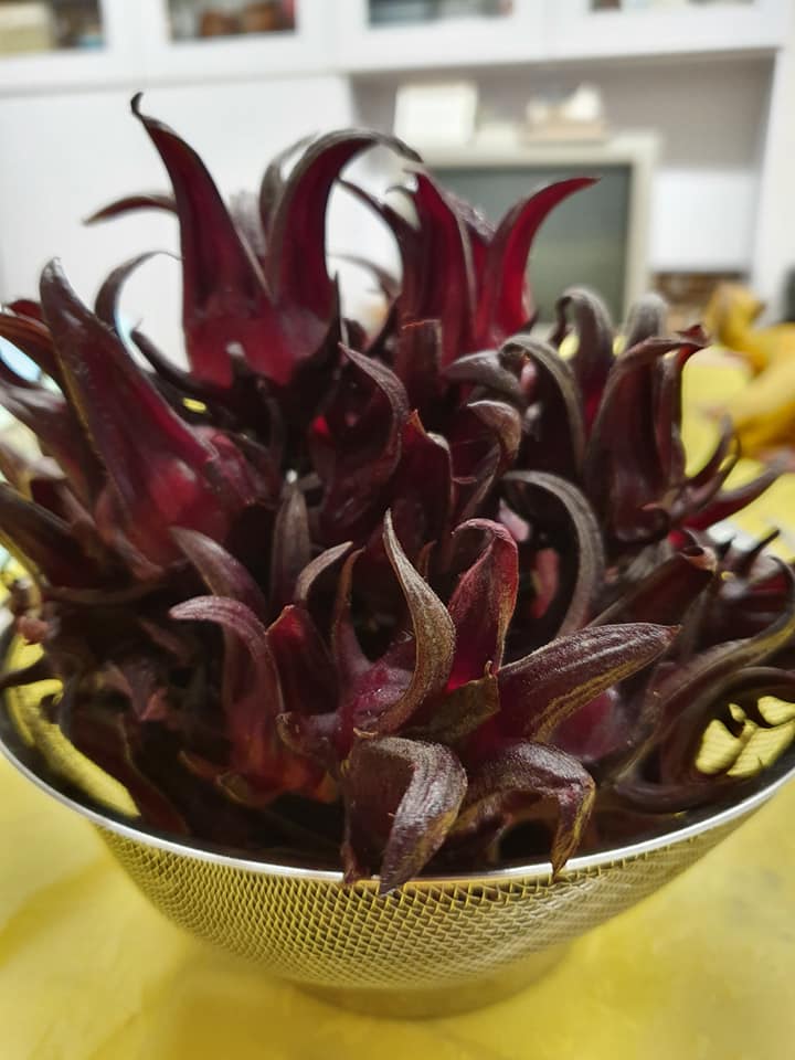 Freshly harvested Roselle