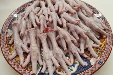 Collection of Chicken Feet recipes