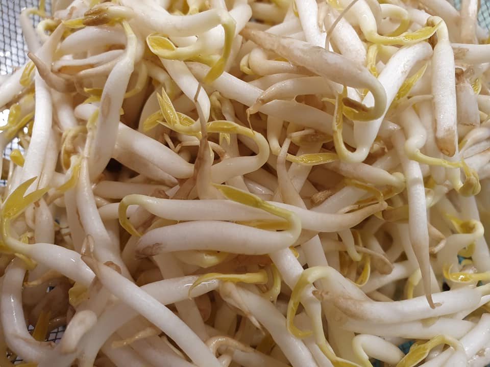 200g Beansprout